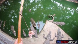 6233 Crocodiles Munching And Thai Gf Cumming-4