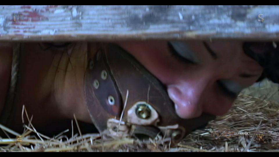 I Hate Bugs Download New Porn Video Fast Mode or Watch