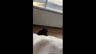 Pussy 25992_fans_here_546c0bf315f5c-3