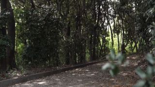 [SuperMisses.com] SPSD-95 Heroine Hunting Mystic Rangers Mystic Blue-001-8