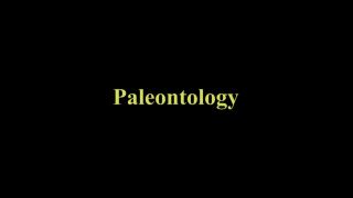 Charlotte Heinimann - Paleontology (2015) HD 1080p!!!-0