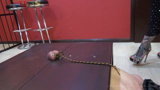 adult xxx clip 36 Miss Jane and Lady Chantal - Full weight ball and cock stomping [HD 300.7 MB] - fetish - fetish porn cory chase femdom-9