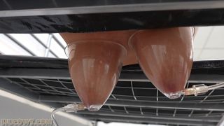 Hu Cows 26 01 03 Darina Udder Stretching – Full HD - Udder-8