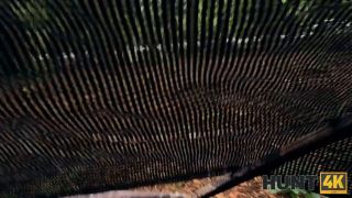 Noi Feja's Hump For The Wilderpeople - HD Quality 2020 Actio-1