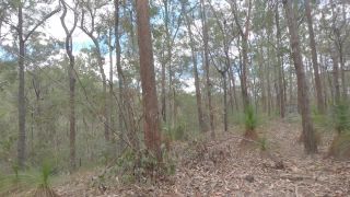 [Onlyfans] sexymatureaussielady-24-10-2019-12814809-Went for a naked bush walk during the week an-6
