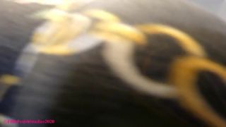 porn clip 26 saliva fetish femdom porn | Spoiled Princess Araya – POV Booty Tease – FILTH FETISH STUDIOS | pov-2