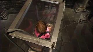 xxx video 30 Darling, big tits lesbians mom on blonde porn -8