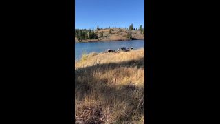 free online video 3 OnlyFans – PrincessJess – Hiked up to this gorgeous lake, blowjob d on public -8