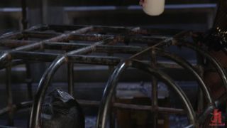 clip 28 lesbian bdsm art Olive Glass Unleashes Her Perfect Cunt Onto Captive Meat - Remastered, mask on bdsm porn-3