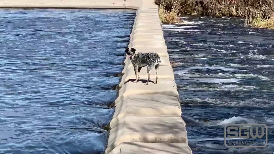 Fucking And Sucking In The Las Vegas Wetlands 1080p