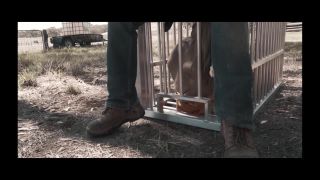free online video 14 long bdsm porn bdsm porn | Fancy Steel – The Farm 4 | fetish-2
