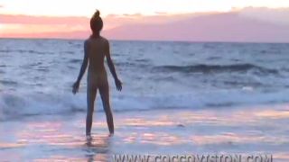 online adult clip 37 sheena shaw hardcore anal sex porno Tropical Beach Beauties 4, hardcore on hardcore porn-5