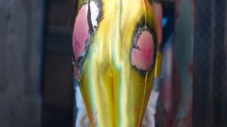 [SuperMisses.com] ZEPE-93 Suisei Sentai Mystic Three Part 2-016-3