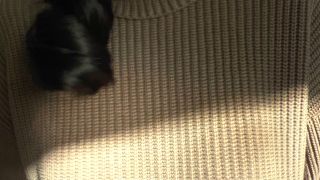 [K2S.CLUB] Lady_Victoria_Valente - Spritze Auf Meinen Pullover Ab - Im Dicken Rollkragen Pull... - FullHD 1080P-6