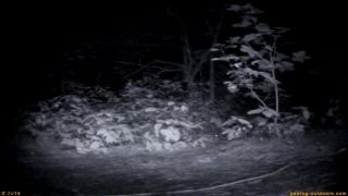 Voyeur Rock Festival Summary 0113 - [Webcam]-1