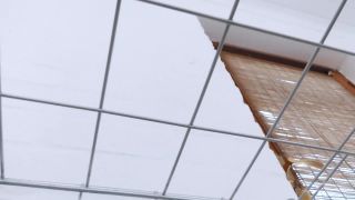 xxx video clip 45 old man fetish Young Goddess Kim - Crawling To Captivity, fetish on fetish porn-9