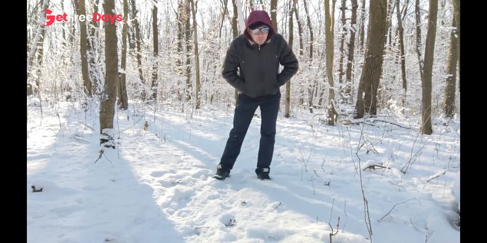 Winter walk in the forest