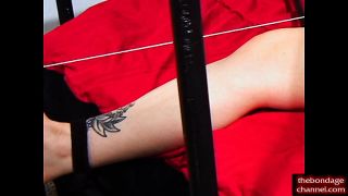 thebondagechannel181203tbc720p-3