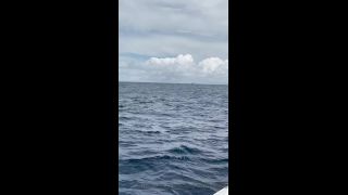online adult video 16 Onlyfans - Chelseawaves - Omg Caught not only my first sailfish but also Incredible crew here in Costa Rica I - 31-05-2021 on hardcore porn hardcore porn download-8