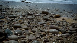 6219 Cindy Nude Beach-8