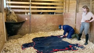 [K2S.CLUB] Madam M - Cropped Crushed Wrangled and Rolled trampled humiliated and discarded in extreme stable discipline - FullHD 1080P-2