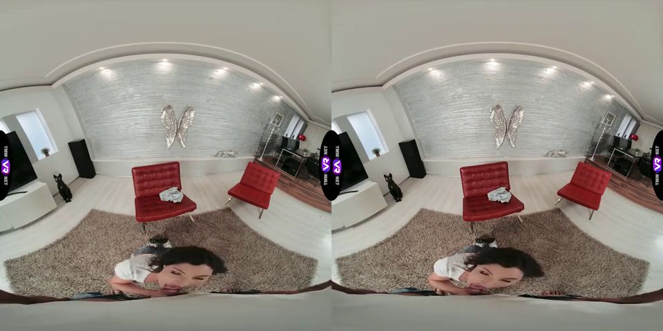 Horizontal Media Helina Gives Dude the Blowjob of His Lifetime  Tmwvrnet