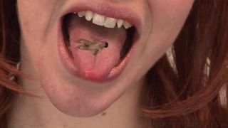 Paraphilia51 Paraphilia51 - On My Tongue Into My Stomach-2