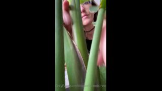 ThePerfectMistress Theperfectmistress - full giantess vore video i find you hiding in my plants i take you out place you on th 06-06-2020-2