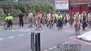 Coccozella-SiteRIP 0114-lg-wnbr-2007-3-7
