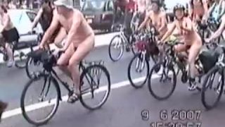 Coccozella-SiteRIP 0114-lg-wnbr-2007-3-9