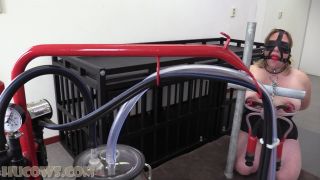 free adult clip 4 HuCow 38 - Red cow milker | bdsm | bdsm porn gay hard bdsm porno-8