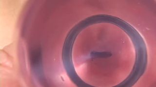 6267 Miki Sakai Jk-5