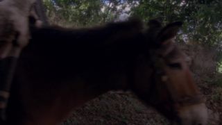 El caminante (1979)!!!-0