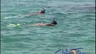 ClothesFree show208ehi (mp4)-5