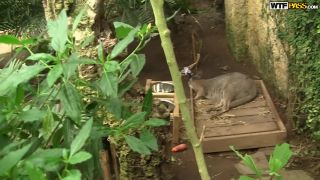 Amateur Anal Sex After A Super Hot Sex Show Amateur!-1