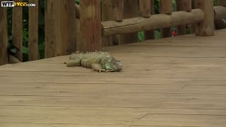 Amateur Anal Sex After A Super Hot Sex Show Amateur!-2