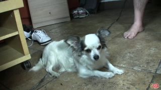 online porn video 4 Putalocura presents 017 Sweet Jane on feet porn greek foot fetish-5