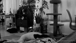 nextdoorvixen 2022-04-07 Say hello again to Amelia my personal toy  Relax and join    1a08c4-5