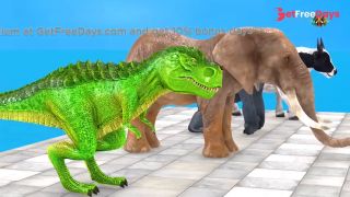 Which animal was the first to successfully challenge-2