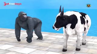 Which animal was the first to successfully challenge-5