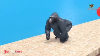 Which animal was the first to successfully challenge-6