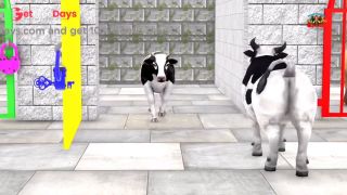 Which animal was the first to successfully challenge-9