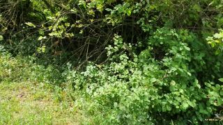 Blondes teen girl - KAMERAABBRUCH! Wurden wir gesehen - EX Freund geht seiner EHEF... 1080P - Amateur-2
