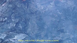 etat des lieuxII-vidéo-5