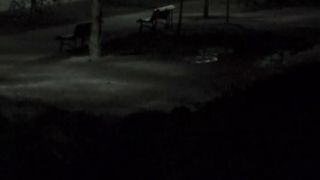 porn clip 2  FU10 Night Crawling 18, full movies voyeur on voyeur-7