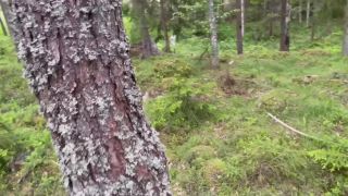 Fantasin Uppfylld I Skogen. Se Mer På Min OF.-0