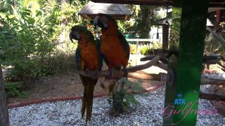 [ATKGirlfriends] Nicole Nichols Sarasota 5 [01.31.26] [1080p]-1