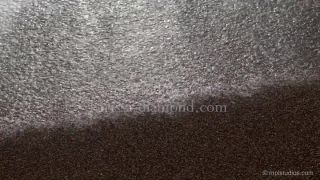 Karissa Diamondseagasm 2 (mpls, 2019 01 19)-6