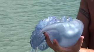 online clip 28 Kazantip 2018 Nude Beach - nude beaches - hardcore porn hardcore dick porn-9