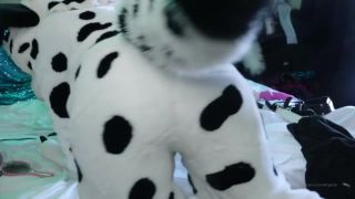 Dotti Pink Part One Fursuit Show Live On Chaturbate 10-10-2020-2